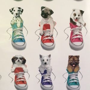 Poster, Dogs in Converse, Kimberlin - Puppies